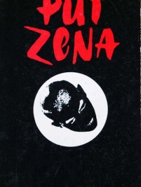 Knjiga u ponudi Put Zena