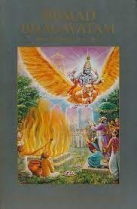Knjiga u ponudi Srimad Bhagavatam: kreativni podsticaj