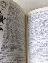 Knjiga u ponudi Đački leksikon