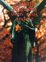 Knjiga u ponudi Pogledaj dom svoj, anđele