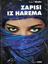 Knjiga u ponudi Zapisi iz harema