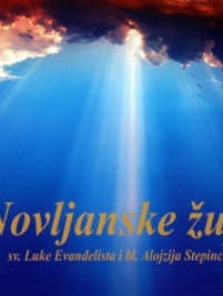 Knjiga u ponudi Novljanske župe sv. Luke Evanđelista i bl. Alojzija Stepinca