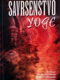 Knjiga u ponudi Savršenstvo yoge