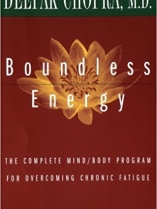 Knjiga u ponudi Boundless Energy