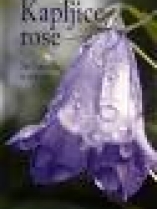 Knjiga u ponudi Kapljice rose: 365 misli o životu