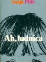 Knjiga u ponudi Ah, ludnica