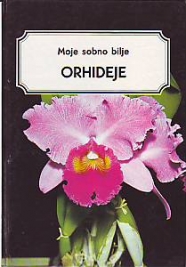 Moje sobno bilje: orhideje