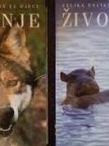 Knjiga u ponudi Velika enciklopedija za djecu, 1., 2.: Životinje