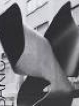 Knjiga u ponudi Vojin Bakić (engleski jezik)