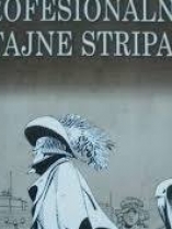 Knjiga u ponudi Profesionalne tajne stripa